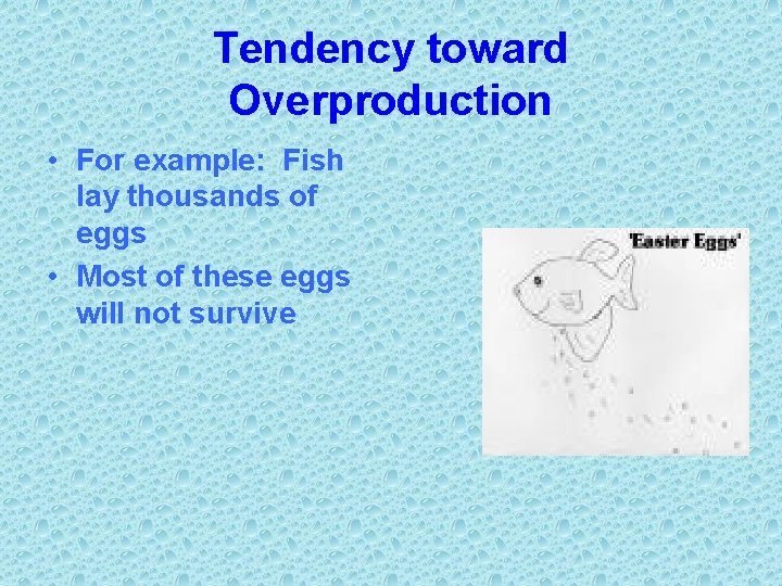 Tendency toward Overproduction • For example: Fish lay thousands of eggs • Most of