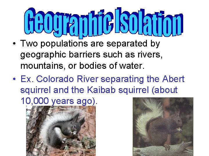  • Two populations are separated by geographic barriers such as rivers, mountains, or