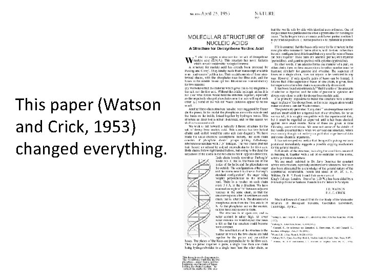 This paper (Watson and Crick, 1953) changed everything. 