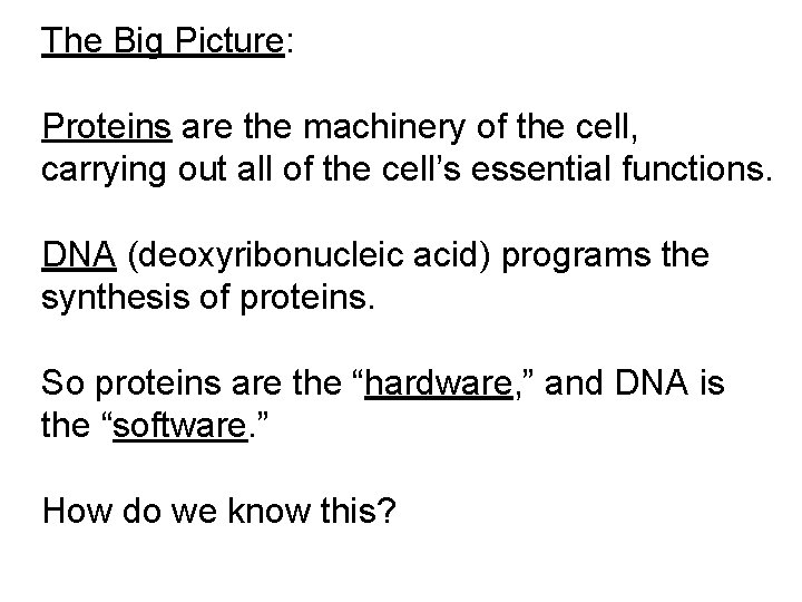 The Big Picture: Proteins are the machinery of the cell, carrying out all of
