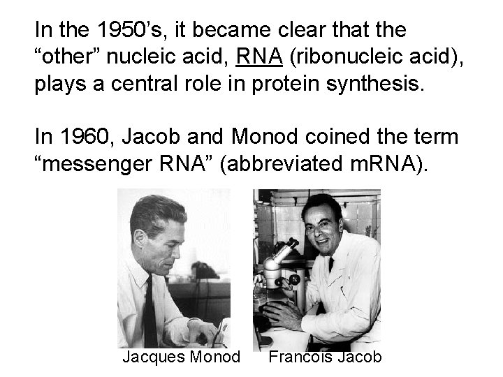 In the 1950’s, it became clear that the “other” nucleic acid, RNA (ribonucleic acid),