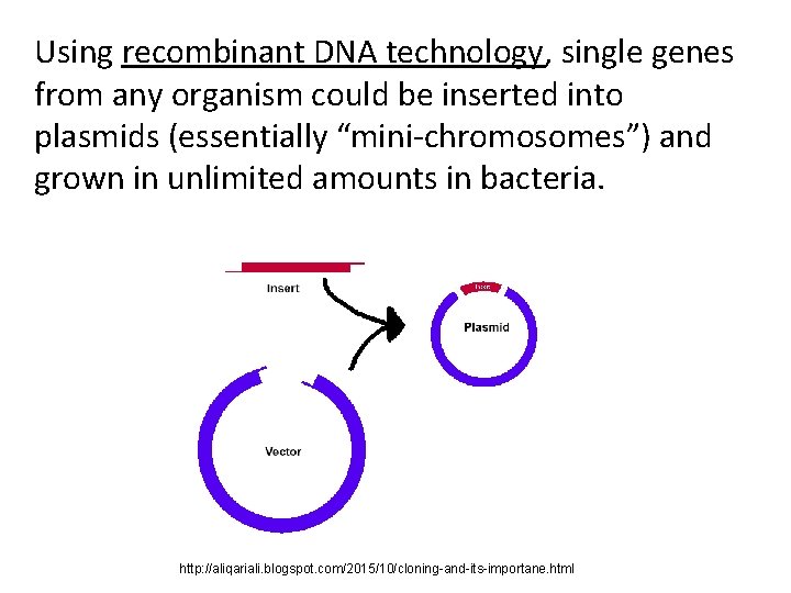 Using recombinant DNA technology, single genes from any organism could be inserted into plasmids