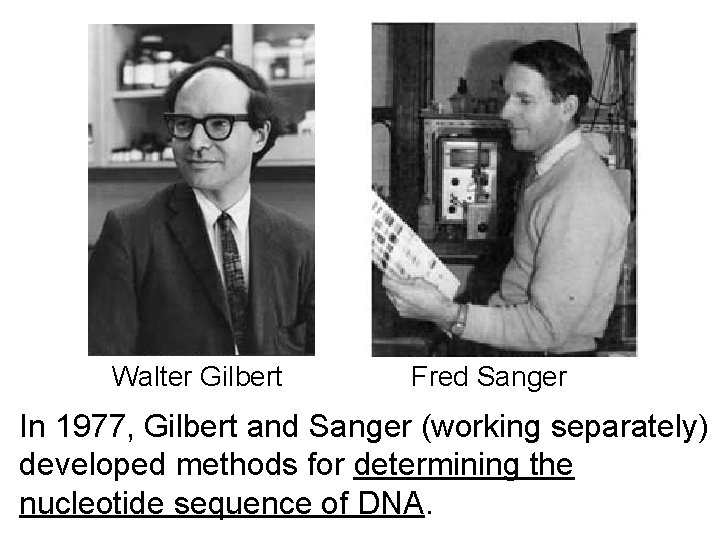 Walter Gilbert Fred Sanger In 1977, Gilbert and Sanger (working separately) developed methods for