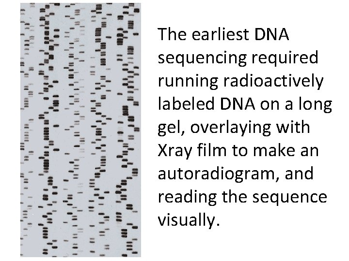 The earliest DNA sequencing required running radioactively labeled DNA on a long gel, overlaying