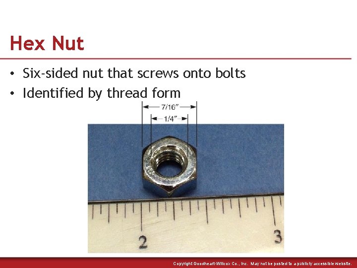 Hex Nut • Six-sided nut that screws onto bolts • Identified by thread form