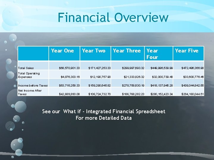 Financial Overview Year One Total Sales Year Two Year Three Year Four Year Five