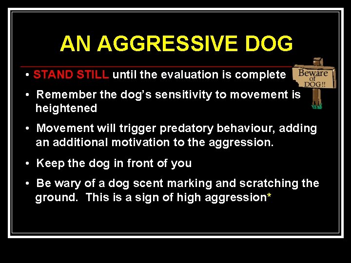 AN AGGRESSIVE DOG • STAND STILL until the evaluation is complete • Remember the