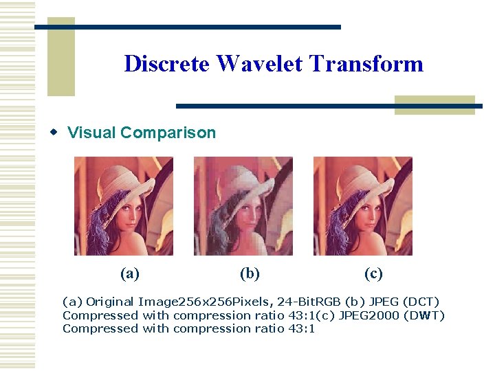 Discrete Wavelet Transform w Visual Comparison (a) (b) (c) (a) Original Image 256 x Discrete Wavelet Transform w Visual Comparison (a) (b) (c) (a) Original Image 256 x