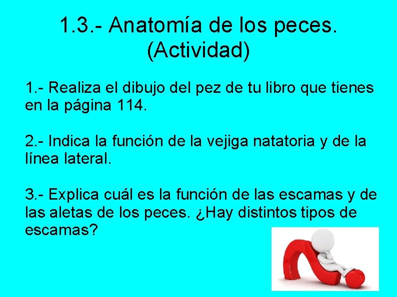 1. 3. - Anatomía de los peces. (Actividad) 1. - Realiza el dibujo del