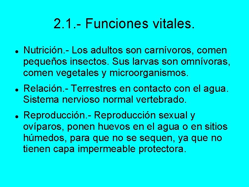 2. 1. - Funciones vitales. Nutrición. - Los adultos son carnívoros, comen pequeños insectos.