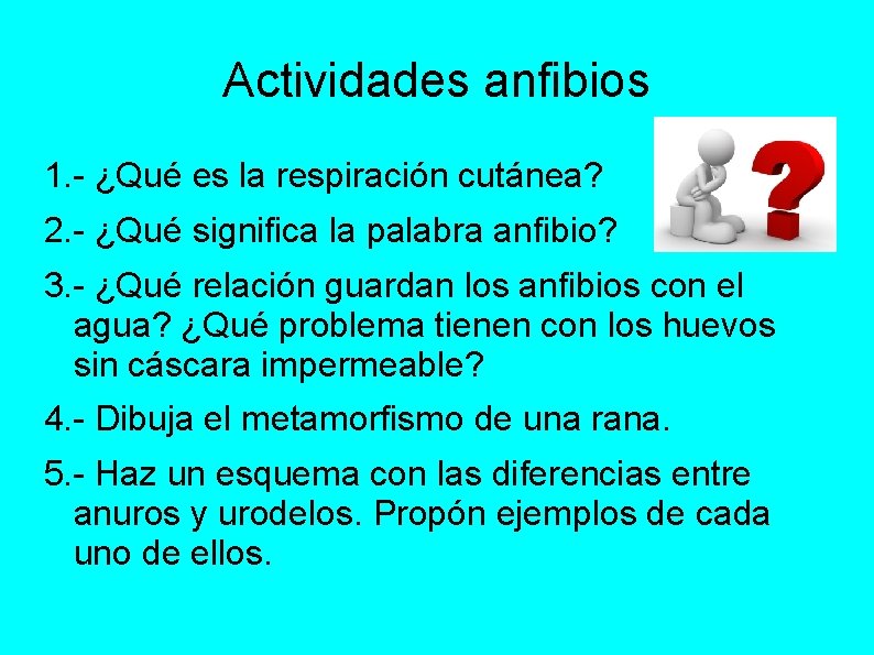 Actividades anfibios 1. - ¿Qué es la respiración cutánea? 2. - ¿Qué significa la