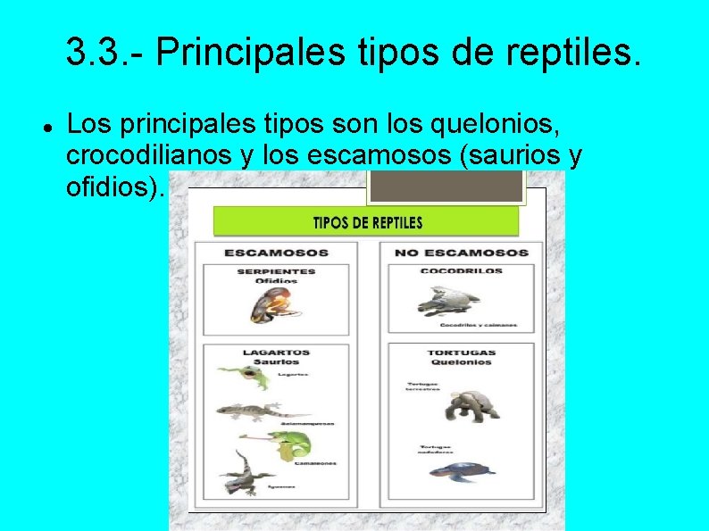 3. 3. - Principales tipos de reptiles. Los principales tipos son los quelonios, crocodilianos