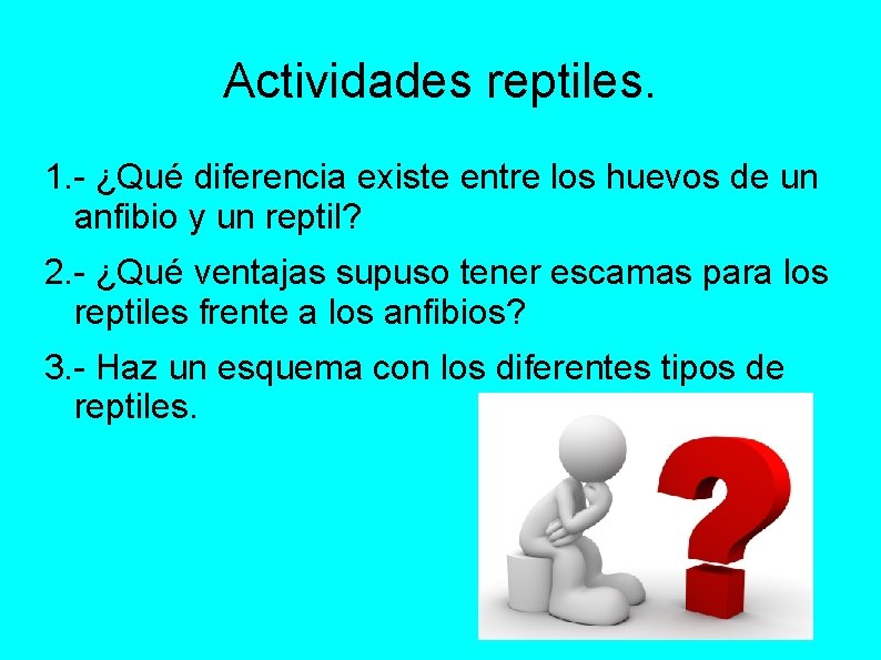 Actividades reptiles. 1. - ¿Qué diferencia existe entre los huevos de un anfibio y
