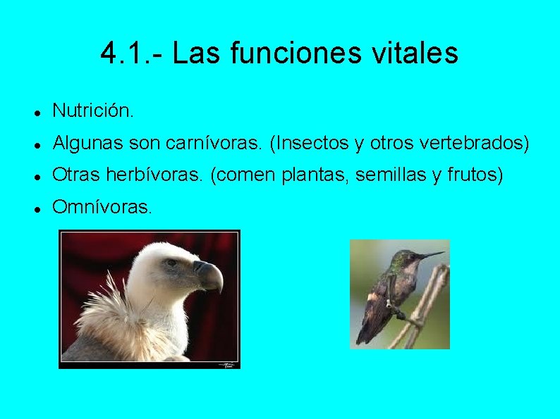 4. 1. - Las funciones vitales Nutrición. Algunas son carnívoras. (Insectos y otros vertebrados)