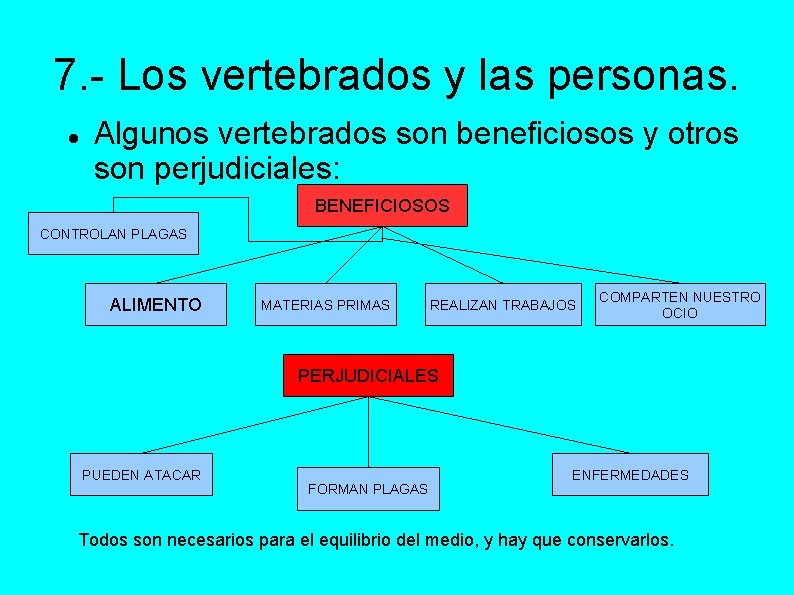 7. - Los vertebrados y las personas. Algunos vertebrados son beneficiosos y otros son