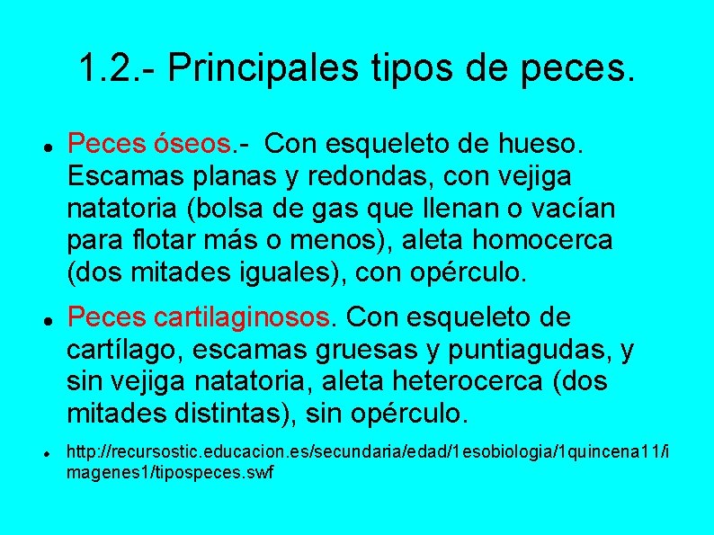 1. 2. - Principales tipos de peces. Peces óseos. - Con esqueleto de hueso.