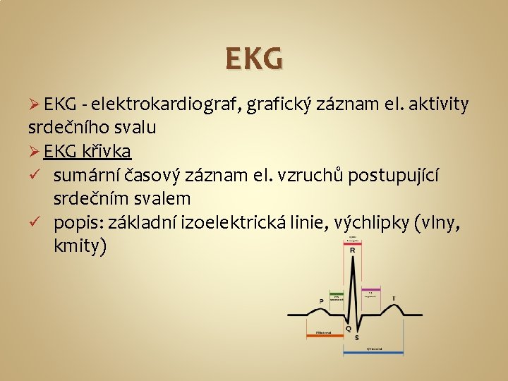 EKG Ø EKG - elektrokardiograf, grafický záznam el. aktivity srdečního svalu Ø EKG křivka