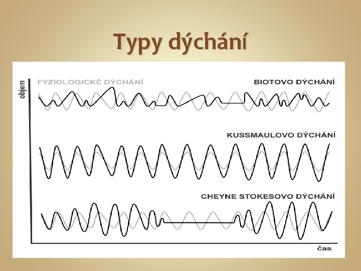 Typy dýchání 