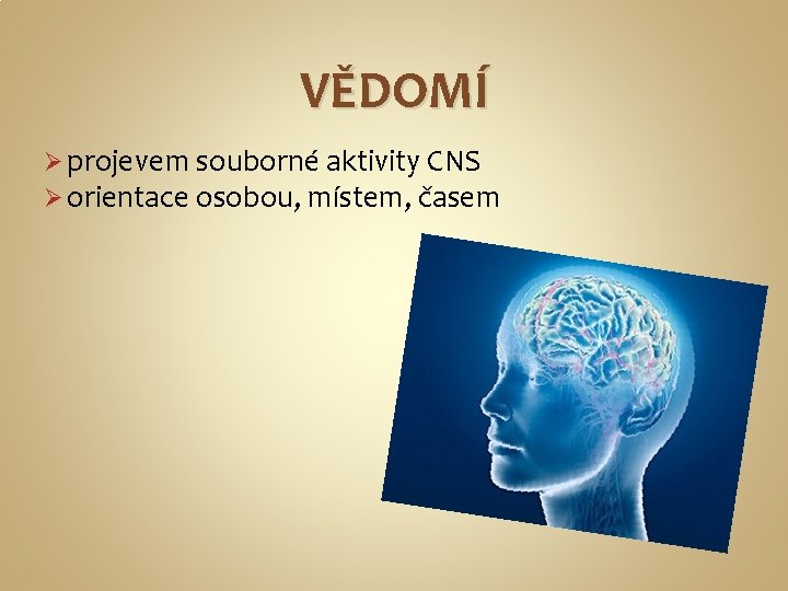 VĚDOMÍ Ø projevem souborné aktivity CNS Ø orientace osobou, místem, časem 