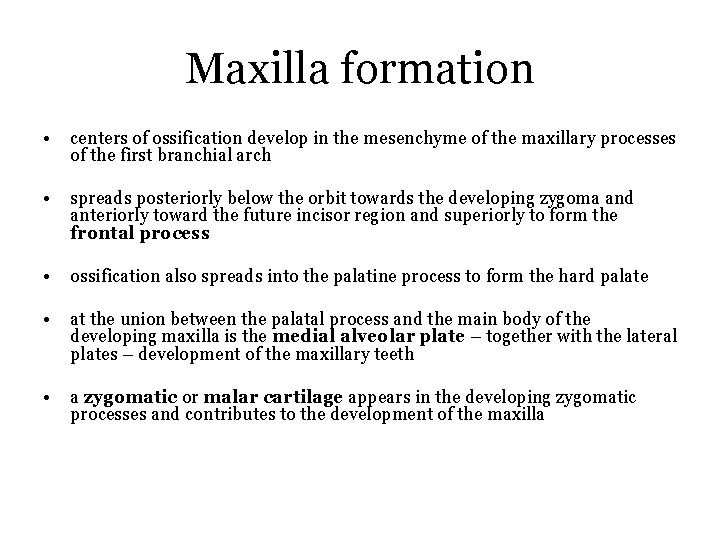 Maxilla formation • centers of ossification develop in the mesenchyme of the maxillary processes