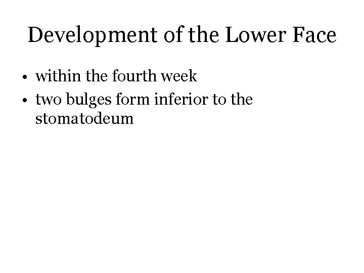 Development of the Lower Face • within the fourth week • two bulges form