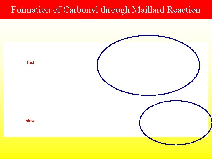 Formation of Carbonyl through Maillard Reaction fast slow 