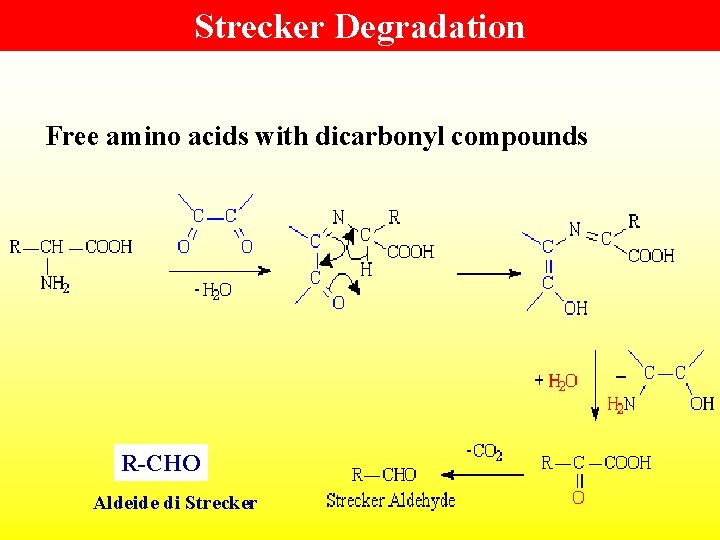 Strecker Degradation Free amino acids with dicarbonyl compounds R-CHO Aldeide di Strecker 