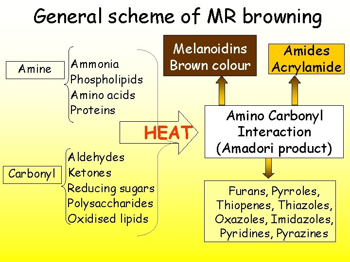 General scheme of MR browning Amine Melanoidins Brown colour Ammonia Phospholipids Amino acids Proteins