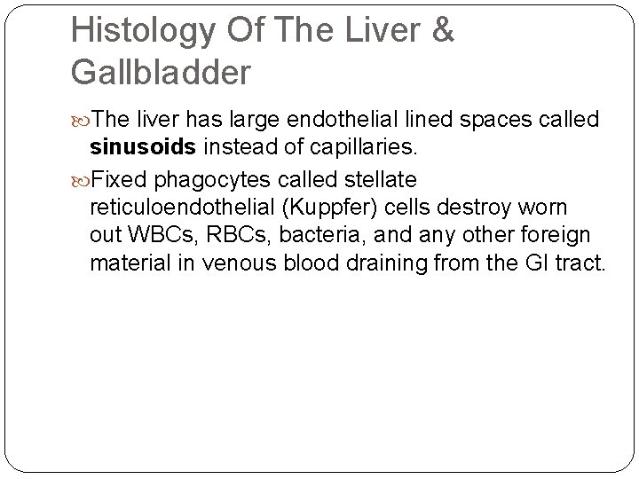 Histology Of The Liver & Gallbladder The liver has large endothelial lined spaces called