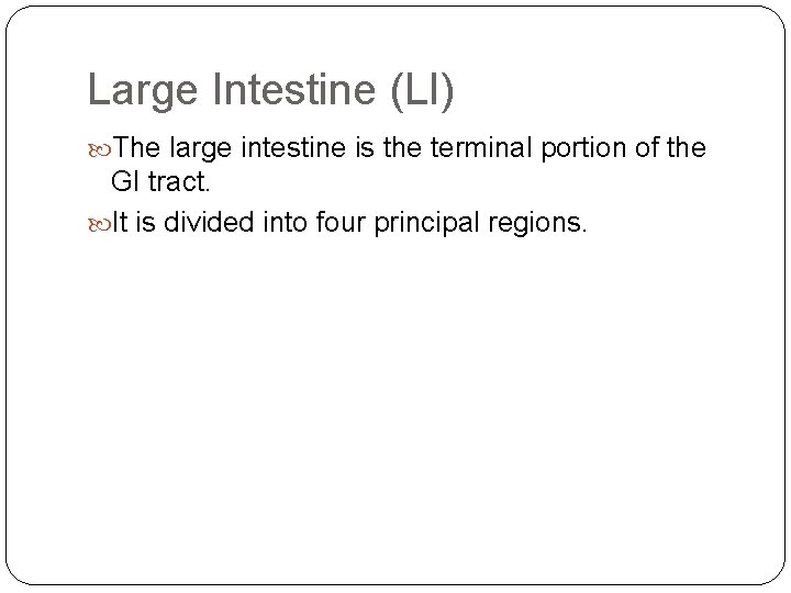 Large Intestine (LI) The large intestine is the terminal portion of the GI tract.