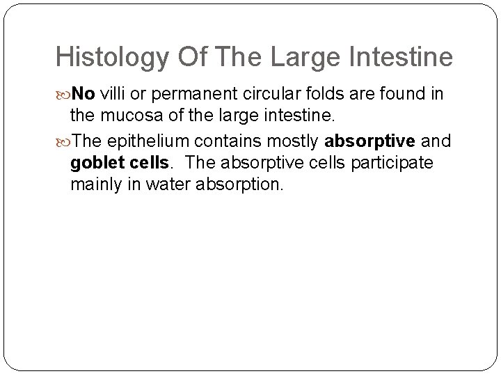 Histology Of The Large Intestine No villi or permanent circular folds are found in