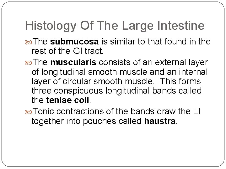 Histology Of The Large Intestine The submucosa is similar to that found in the