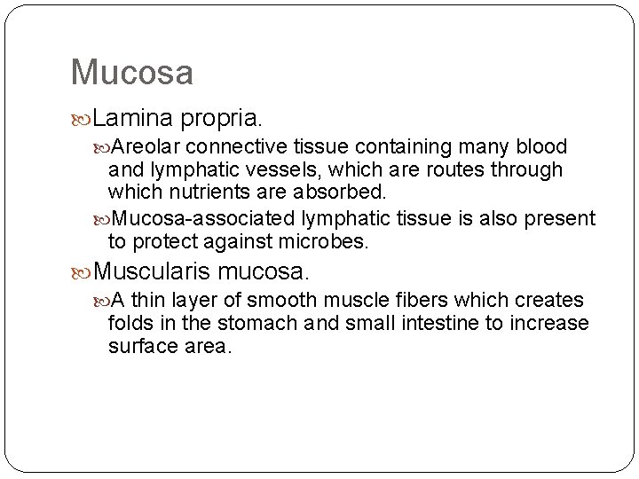 Mucosa Lamina propria. Areolar connective tissue containing many blood and lymphatic vessels, which are