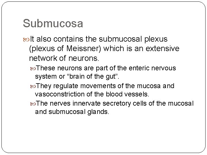 Submucosa It also contains the submucosal plexus (plexus of Meissner) which is an extensive