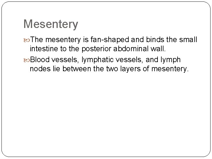 Mesentery The mesentery is fan-shaped and binds the small intestine to the posterior abdominal