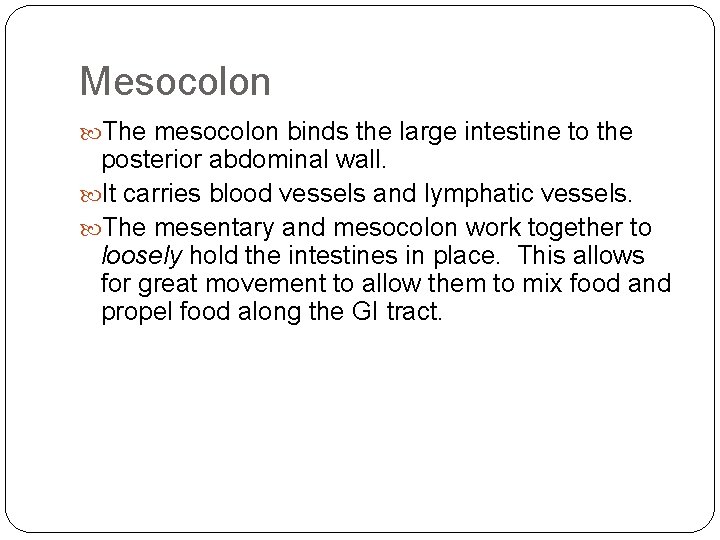 Mesocolon The mesocolon binds the large intestine to the posterior abdominal wall. It carries