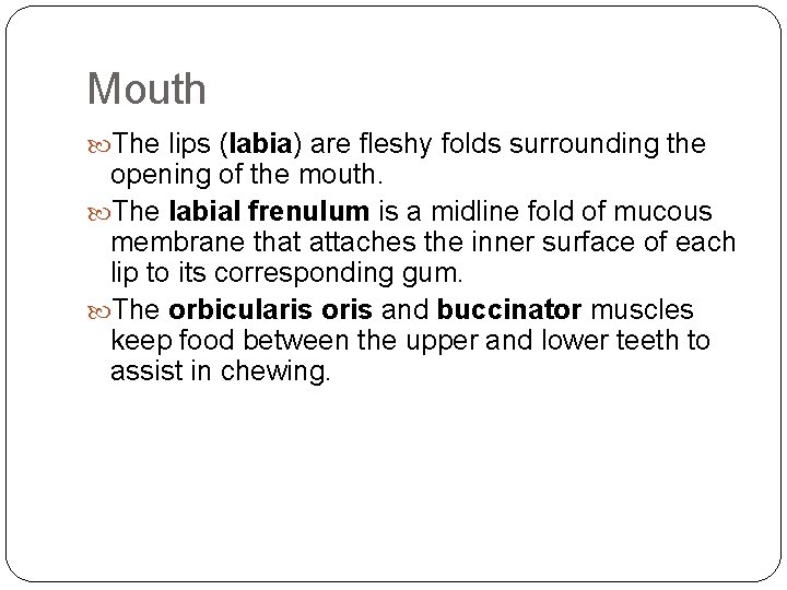 Mouth The lips (labia) are fleshy folds surrounding the opening of the mouth. The