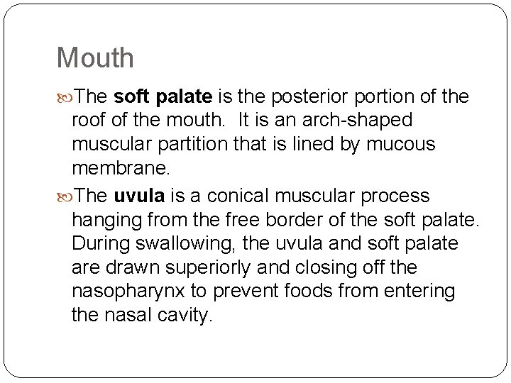 Mouth The soft palate is the posterior portion of the roof of the mouth.