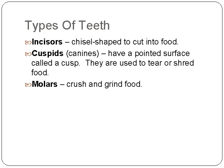 Types Of Teeth Incisors – chisel-shaped to cut into food. Cuspids (canines) – have