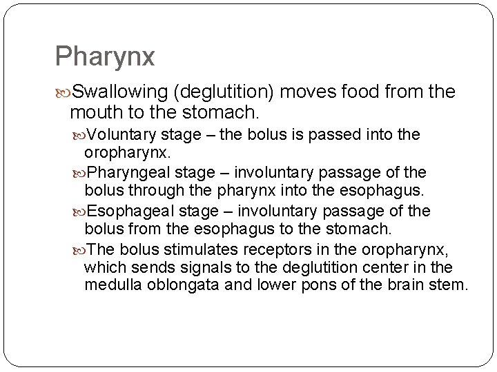 Pharynx Swallowing (deglutition) moves food from the mouth to the stomach. Voluntary stage –