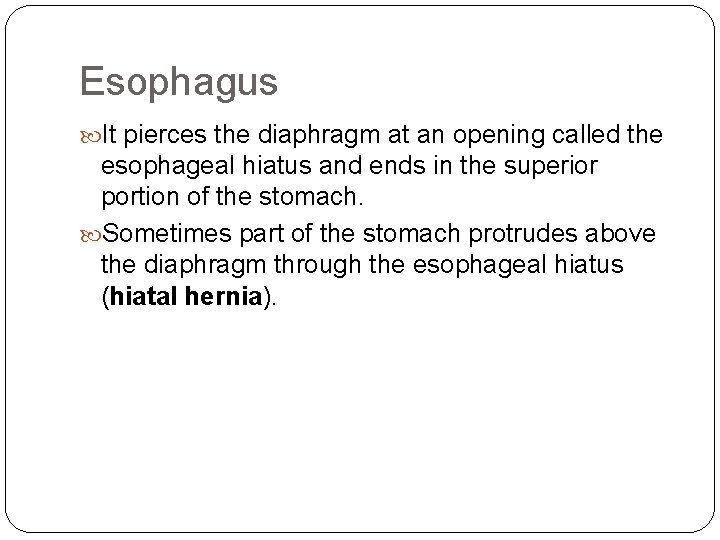 Esophagus It pierces the diaphragm at an opening called the esophageal hiatus and ends