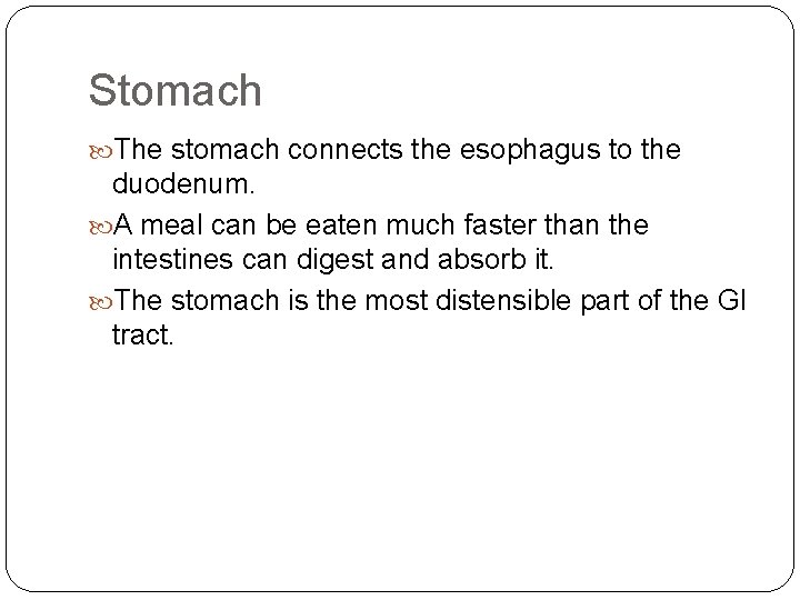 Stomach The stomach connects the esophagus to the duodenum. A meal can be eaten