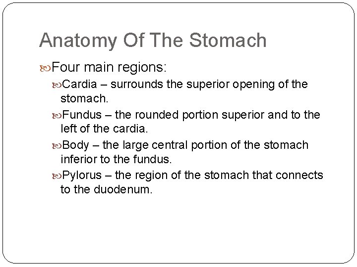 Anatomy Of The Stomach Four main regions: Cardia – surrounds the superior opening of