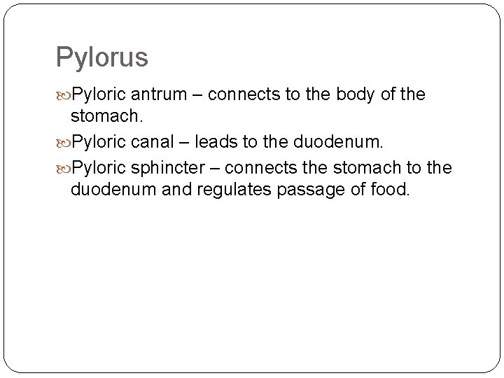 Pylorus Pyloric antrum – connects to the body of the stomach. Pyloric canal –