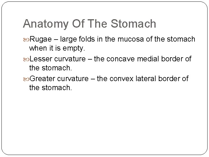 Anatomy Of The Stomach Rugae – large folds in the mucosa of the stomach