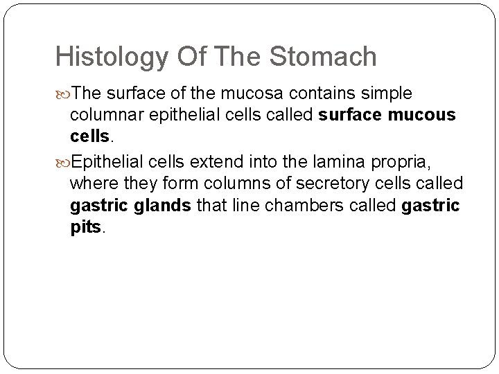 Histology Of The Stomach The surface of the mucosa contains simple columnar epithelial cells