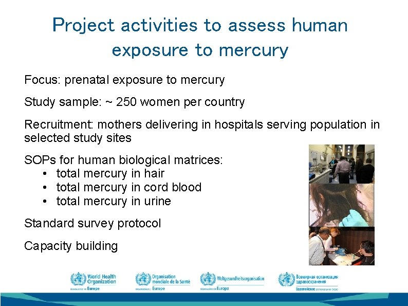 Project activities to assess human exposure to mercury Focus: prenatal exposure to mercury Study