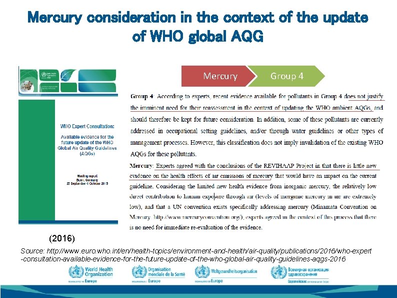 Mercury consideration in the context of the update of WHO global AQG Mercury Group