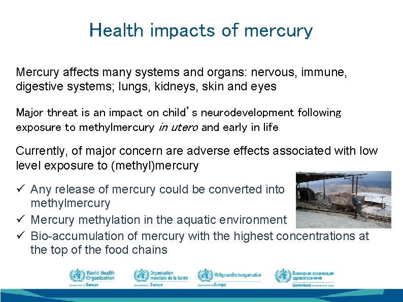 Health impacts of mercury Mercury affects many systems and organs: nervous, immune, digestive systems;