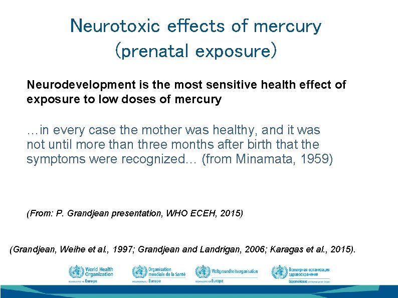 Neurotoxic effects of mercury (prenatal exposure) Neurodevelopment is the most sensitive health effect of